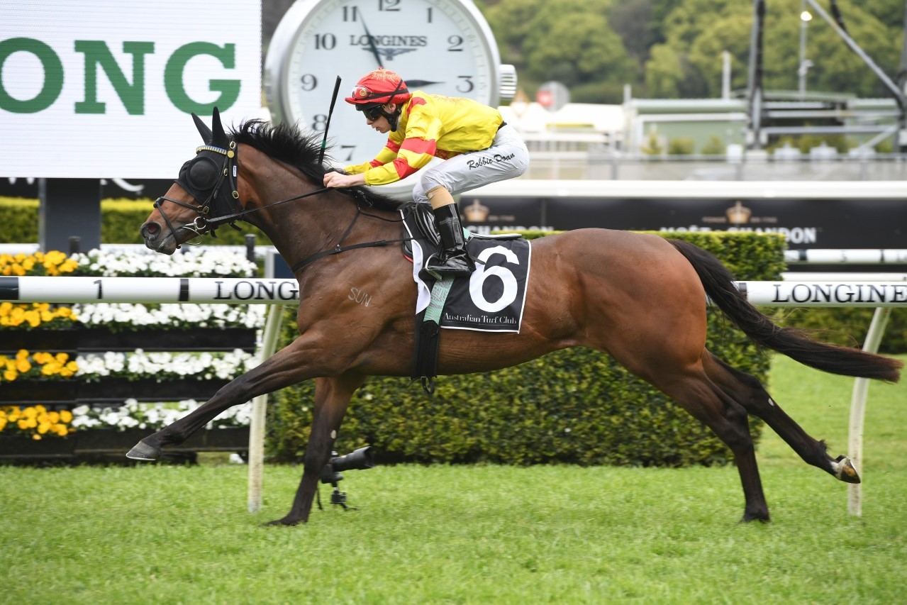 Colada. Photo: Steve Hart.