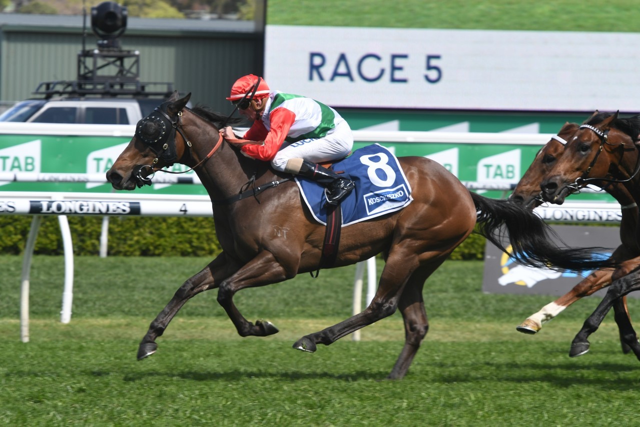 Handle The Truth. Photo: Steve Hart | Races.com.au