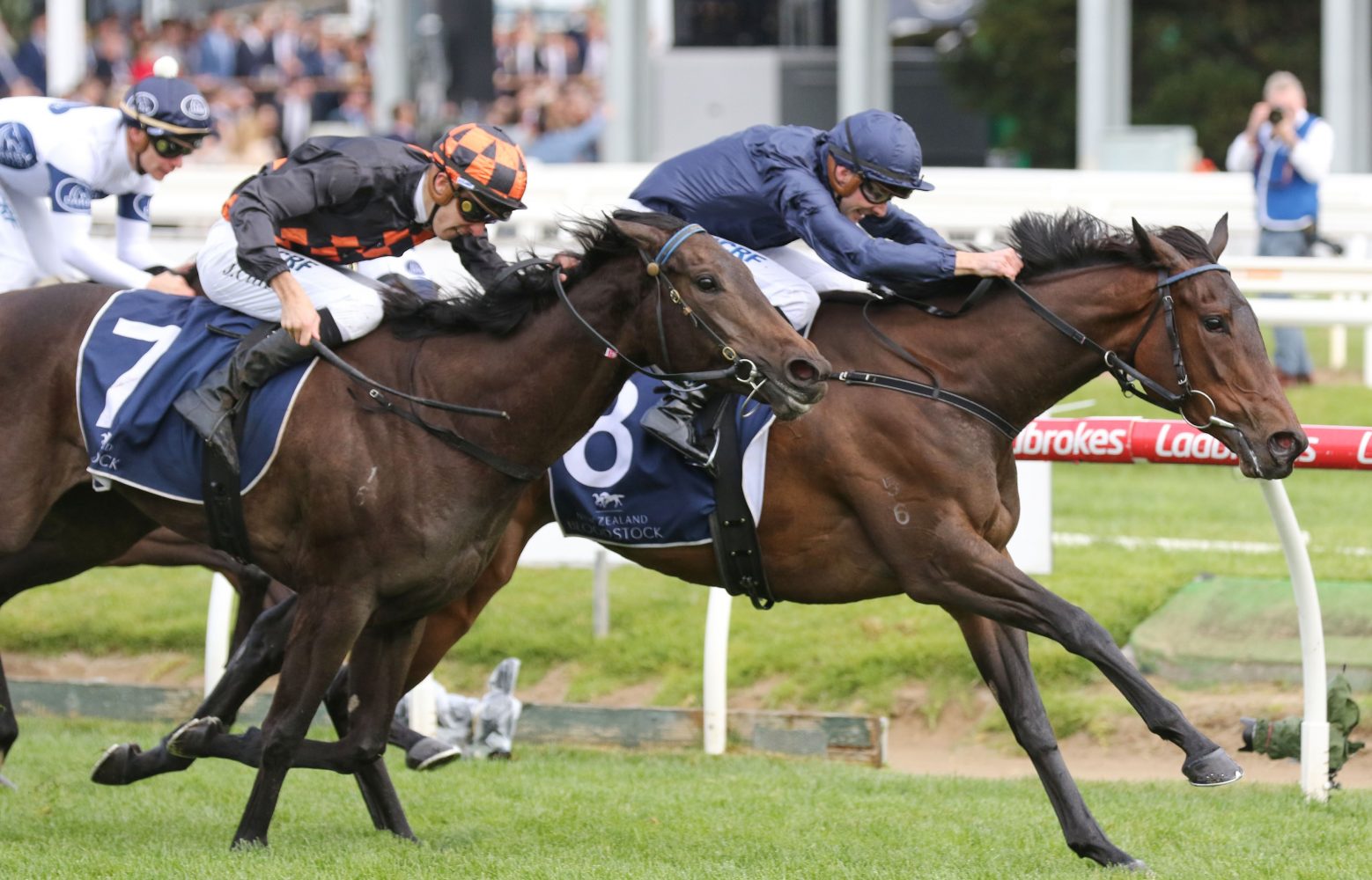 Gamay. Photo: Ultimate Racing Photos.