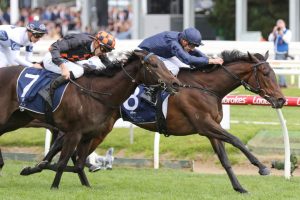 Gamay. Photo: Ultimate Racing Photos.