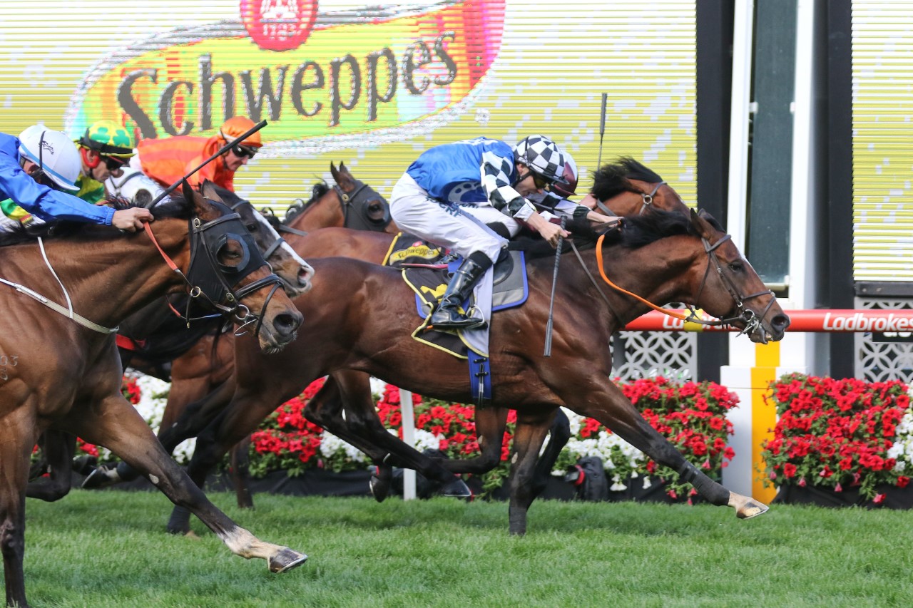 Chief Ironside. Photo: Ultimate Racing Photos.