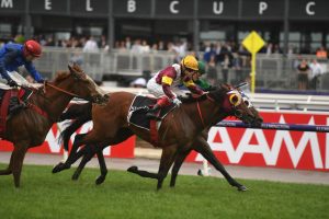 Fierce Impact Horse Form (Photo: Steve Hart) | Races.com.au