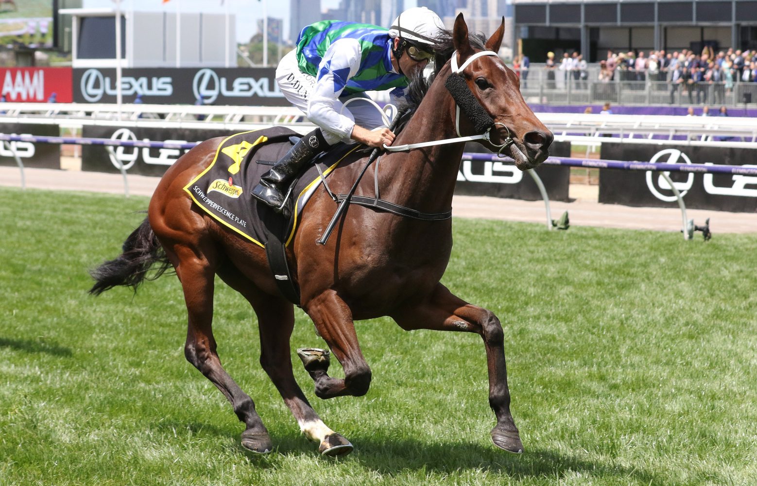 Garner. Photo: Ultimate Racing Photos.