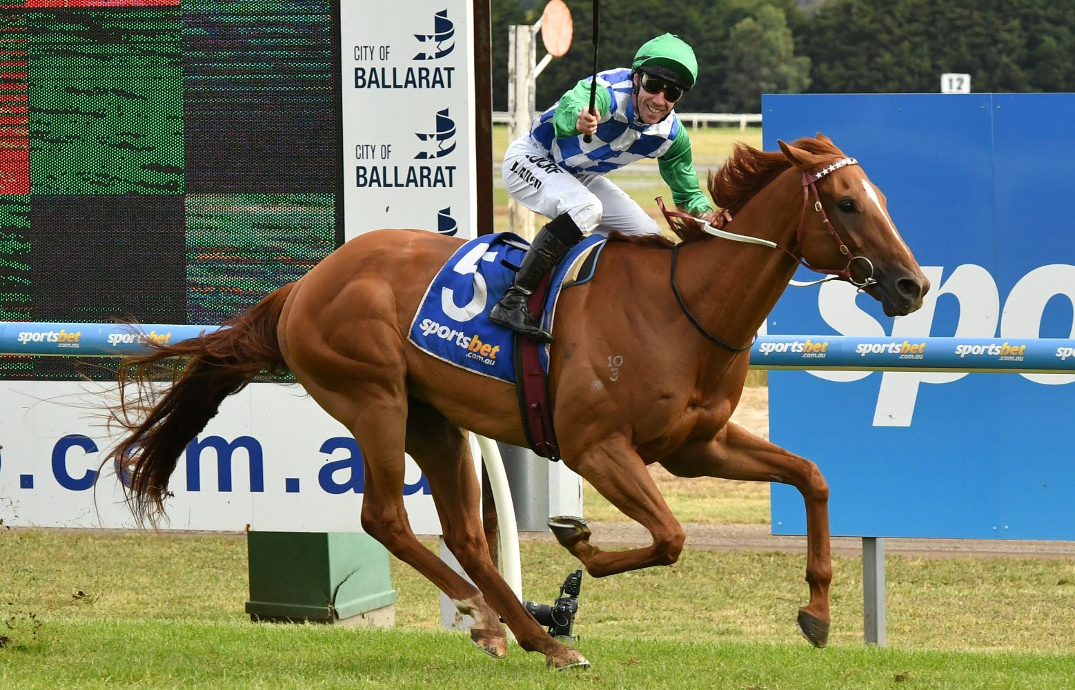 Kiwia. Photo: Ultimate Racing Photos.