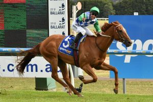 Kiwia. Photo: Ultimate Racing Photos.