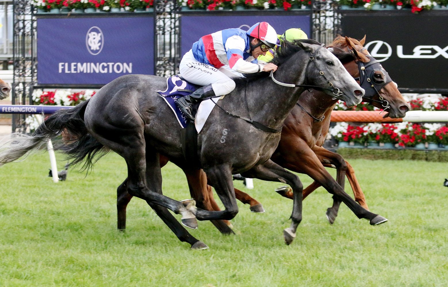 Bumper Blast. Photo: Ultimate Racing Photos.