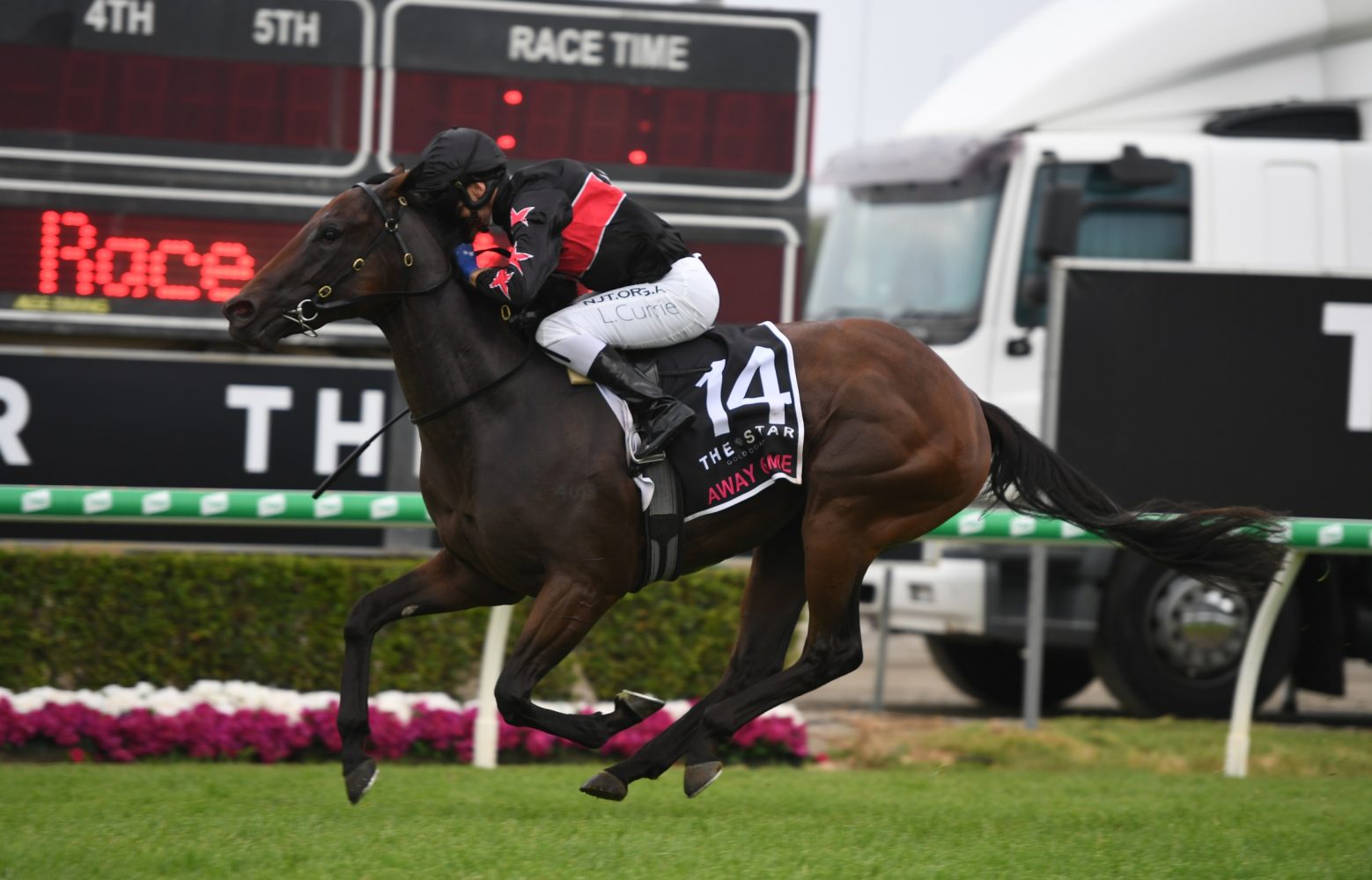 Away Game Horse Form (Photo: Steve Hart) | Races.com.au
