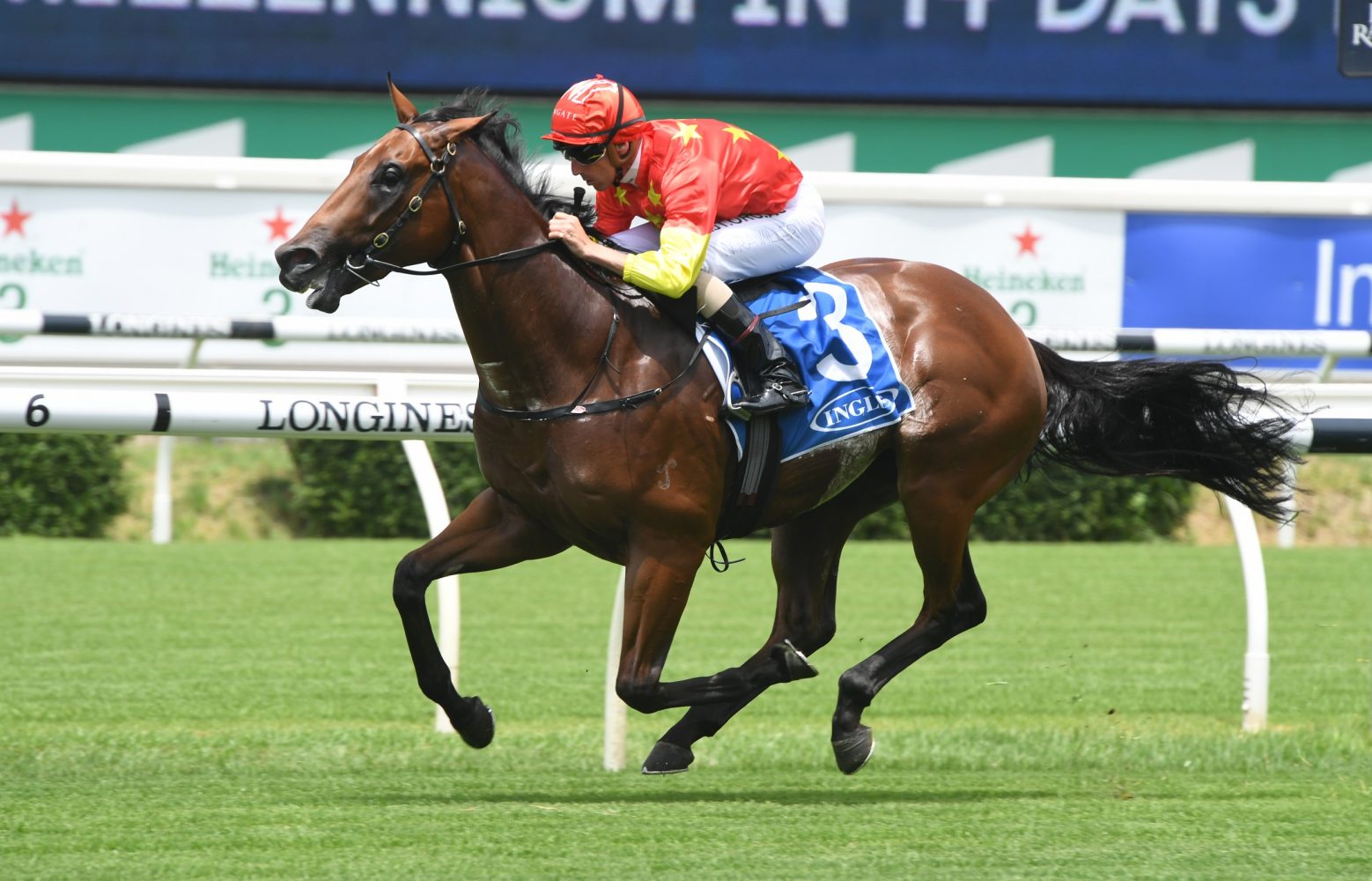 Rulership Horse Form (Photo: Steve Hart) | Races.com.au