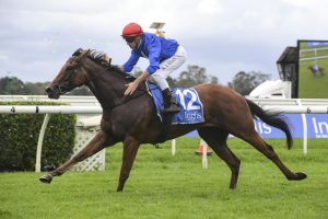 Rubisaki Horse Form (Photo: Steve Hart) | Races.com.au