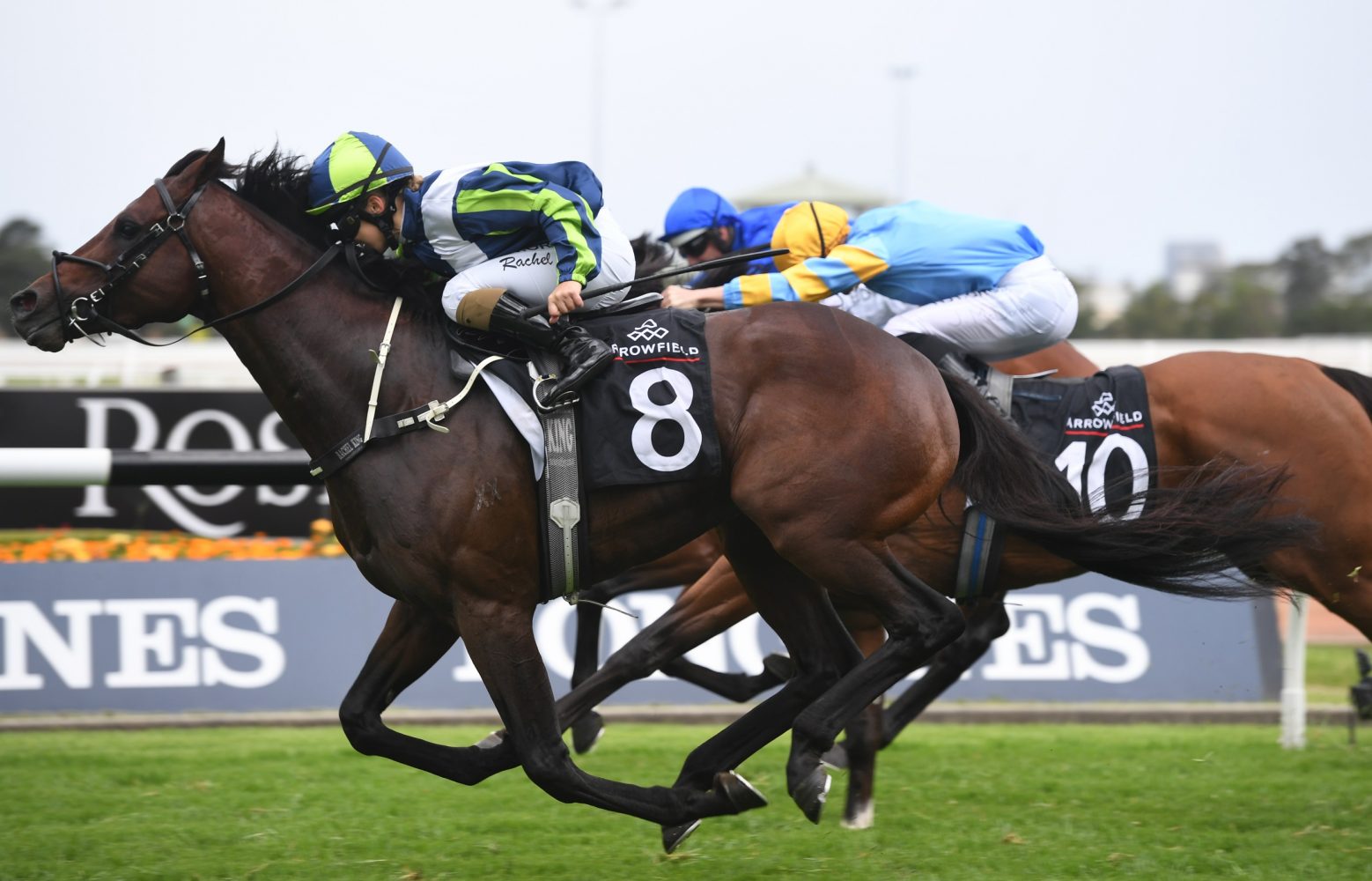 Brandenburg. Photo: Steve Hart.