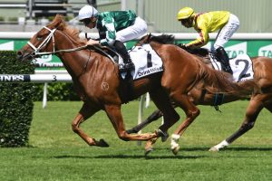 Hungry Heart Horse Form (Photo: Steve Hart) | Races.com.au