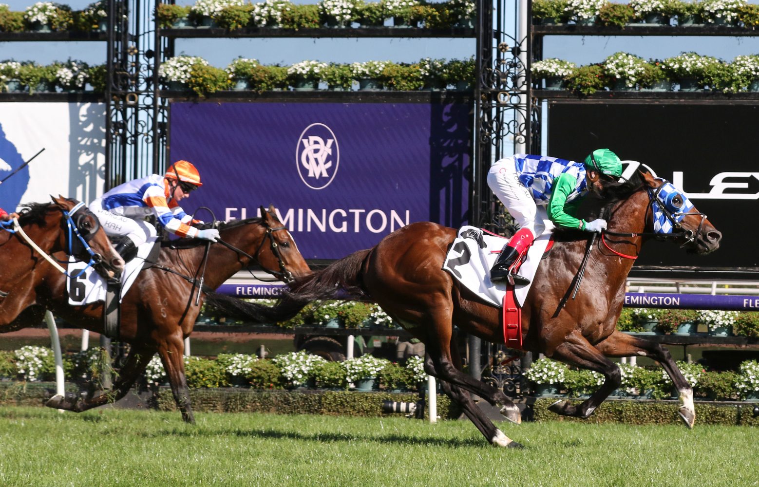 Fifty Stars. Photo: Ultimate Racing Photos.