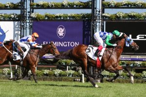 Fifty Stars. Photo: Ultimate Racing Photos.