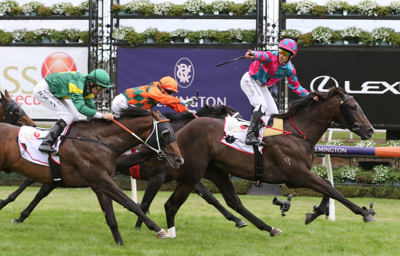 Lunar Fox. Photo: Ultimate Racing Photos.