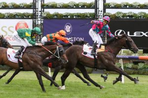 Lunar Fox. Photo: Ultimate Racing Photos.