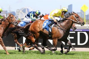 Sylvia's Mother. Photo: Ultimate Racing Photos.