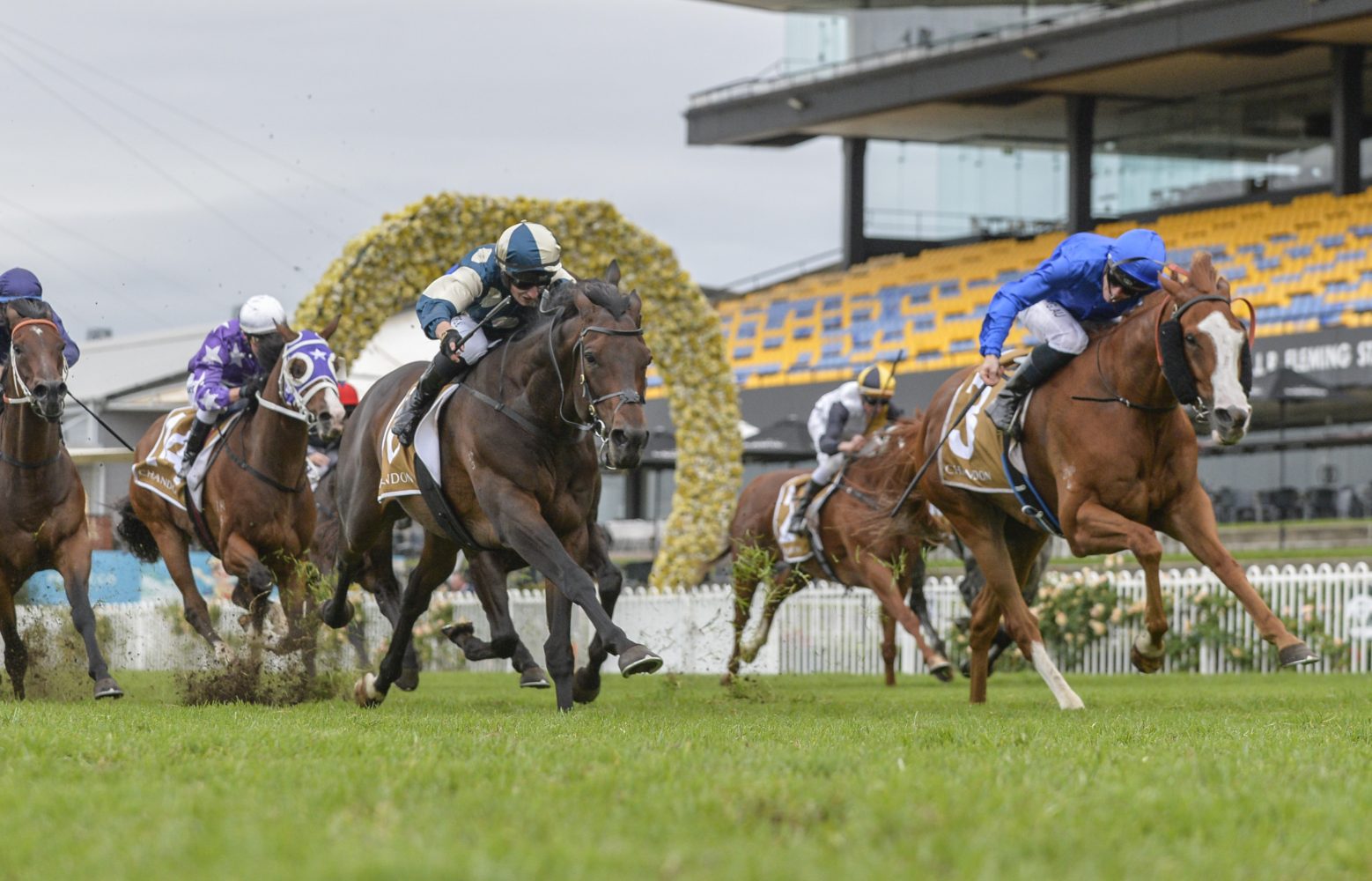 Cascadia. Photo: Steve Hart | Races.com.au