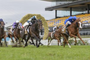 Cascadia. Photo: Steve Hart | Races.com.au