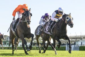 Australian Derby winner Quick Thinker (Photo: Steve Hart) | Races.com.au