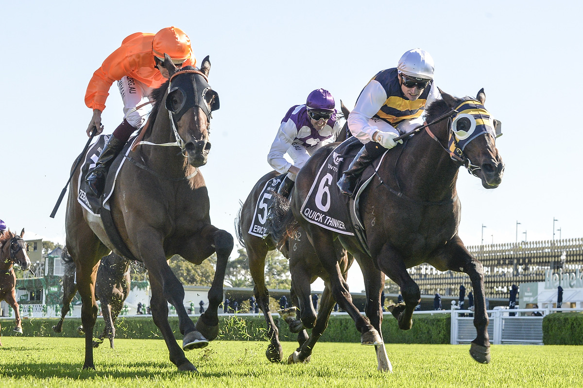 Australian Derby winner Quick Thinker (Photo: Steve Hart) | Races.com.au