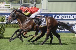 Untamed. Photo: Steve Hart. 