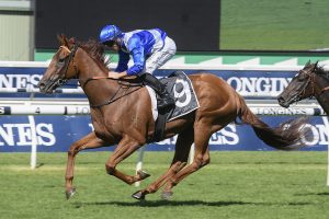 Indy Car. Photo: Steve Hart. 