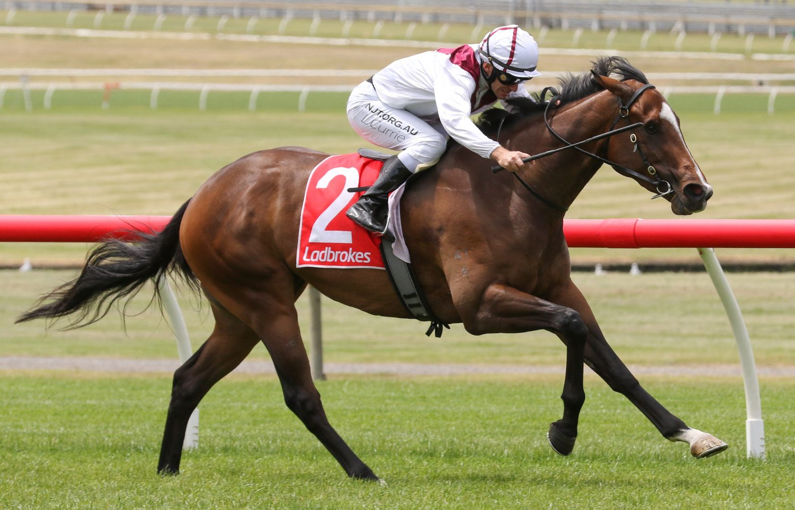 Xilong. Photo: Ultimate Racing Photos.