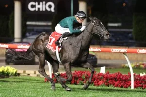 Bella Vella Horse Form (Photo: Ultimate Racing Photos) | Races.com.au