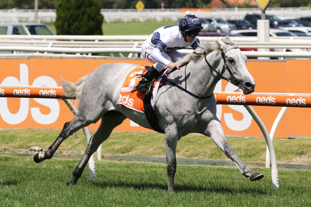 Greysful Glamour. Photo: Ultimate Racing Photos.
