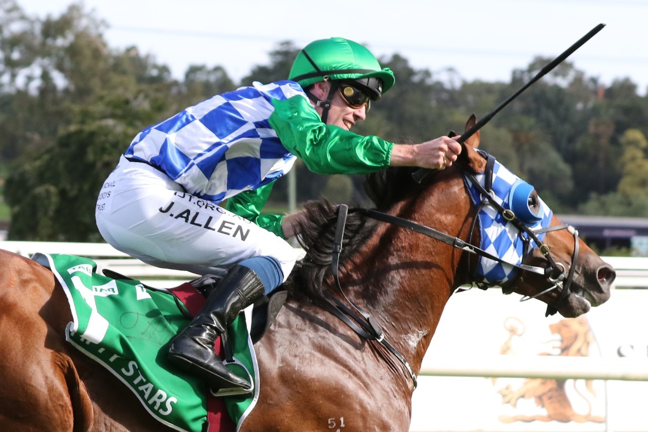 Fifty Stars Horse Form. Photo: Ultimate Racing Photos | Races.com.au