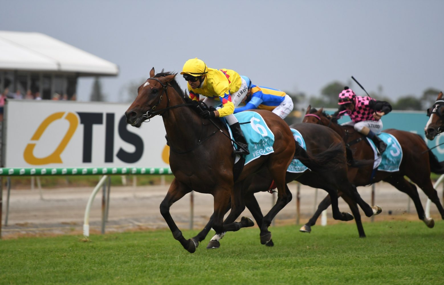 Vega One (photo: Steve Hart). Races.com.au