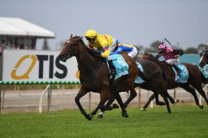 Vega One (photo: Steve Hart). Races.com.au