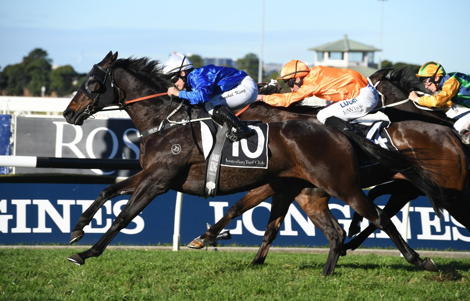 Gaulois (Photo: Steve Hart) - Races.com.au