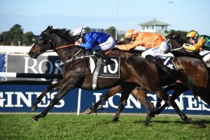 Gaulois (Photo: Steve Hart) - Races.com.au