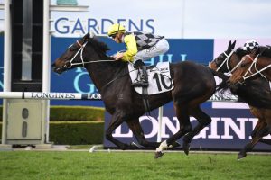 Frankely Awesome (Photo: Steve Hart) - Races.com.au