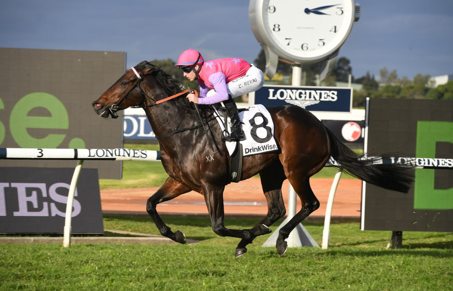 Trumbull. (Photo: Steve Hart) - Races.com.au