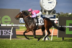 Trumbull. (Photo: Steve Hart) - Races.com.au