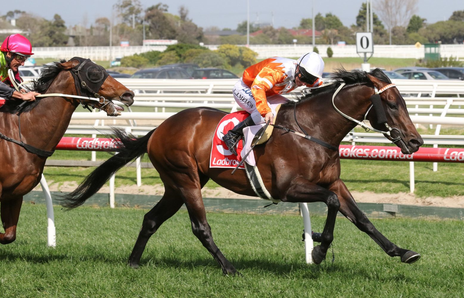 Sircconi (Photo: Ultimate Racing Photos) - Races.com.au