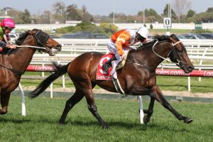 Sircconi (Photo: Ultimate Racing Photos) - Races.com.au