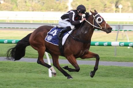 Jungle Edge Horse (Photo: Jenny Barnes) - Races.com.au