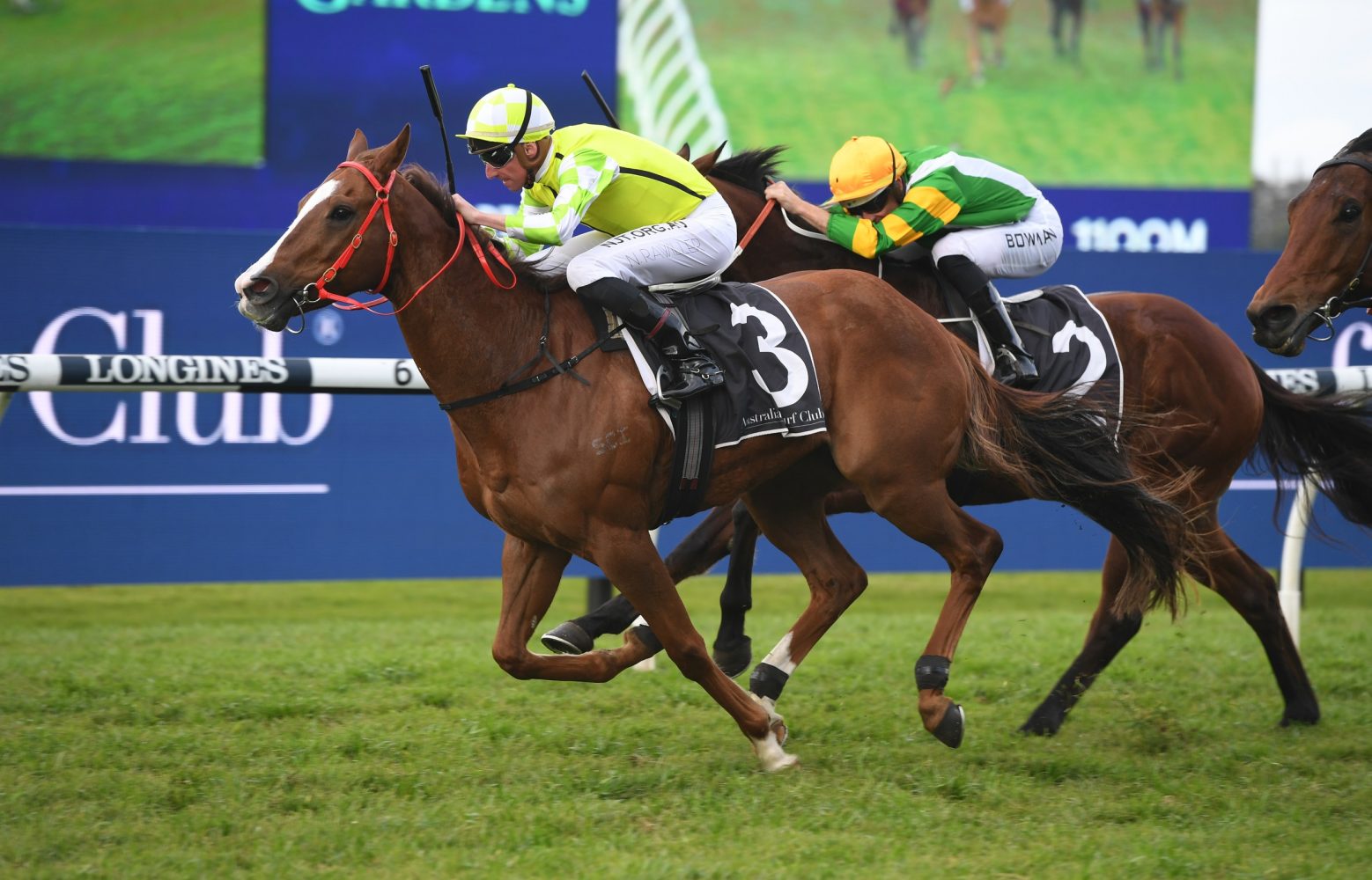 Eduardo Horse Form (Photo: Steve Hart) | Races.com.au