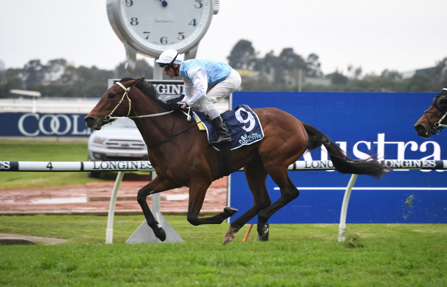 Montefilia Horse Form (Photo: Steve Hart) | Races.com.au
