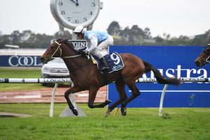 Montefilia Horse Form (Photo: Steve Hart) | Races.com.au
