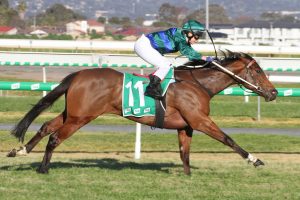 Parlophone Horse Form (Photo: Jenny Barnes) | Races.com.au