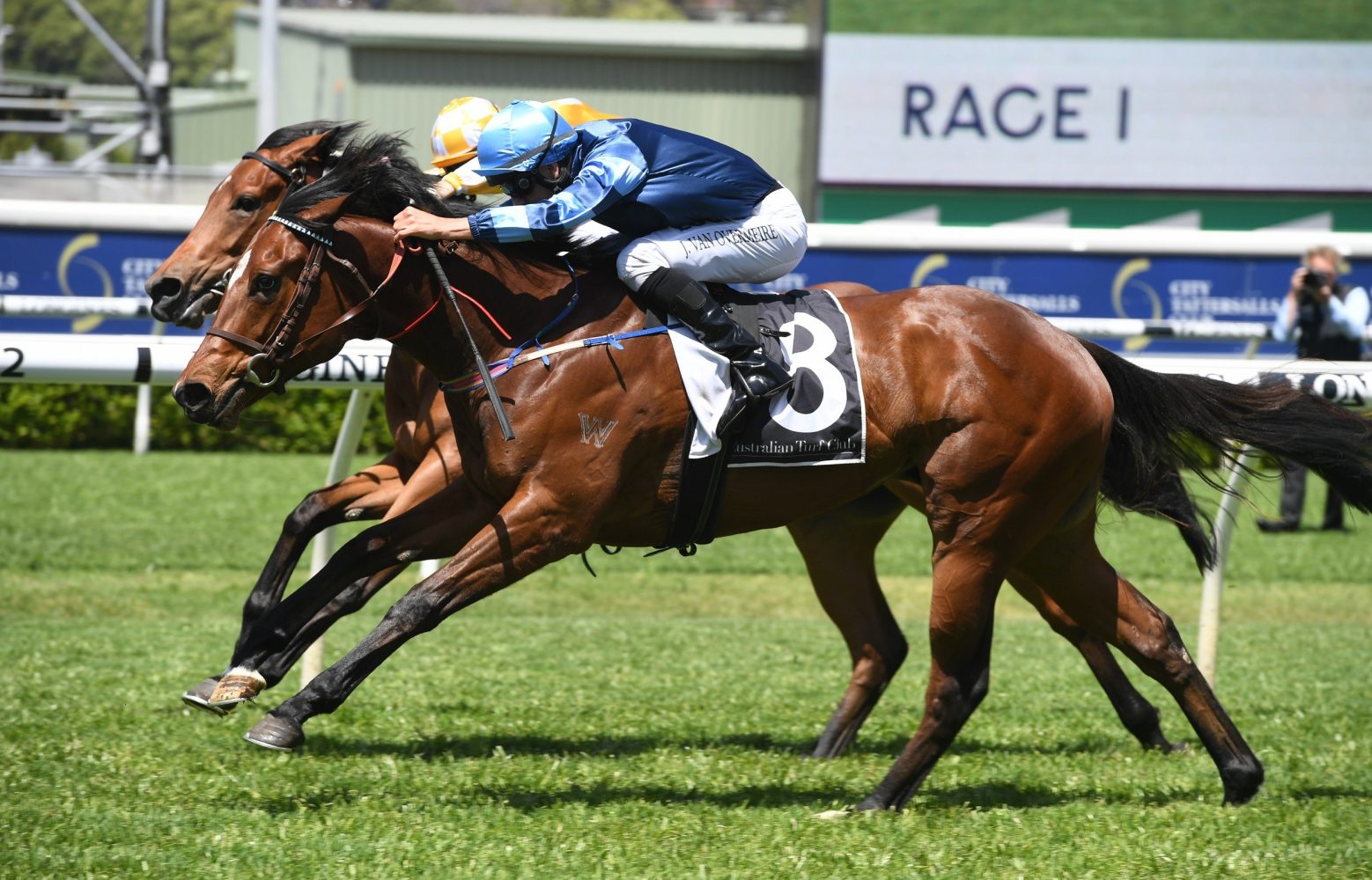 See You Soon Horse Form (Photo: Steve Hart) | Races.com.au