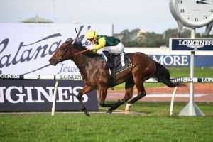 Adelong Horse Form (Photo: Steve Hart) | Races.com.au