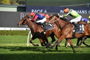 Sweet Deal Horse Form (Photo: Steve Hart) | Races.com.au
