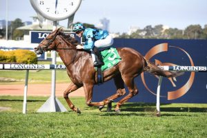 Anders Horse Form (Photo: Steve Hart) | Races.com.au