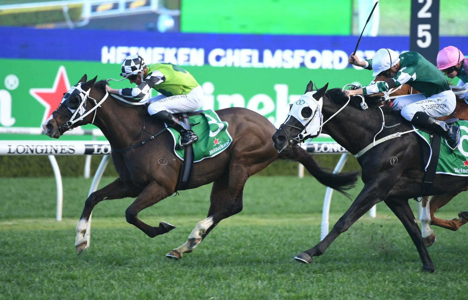 Mister Sea Wolf Horse Form (Photo: Steve Hart) | Races.com.au