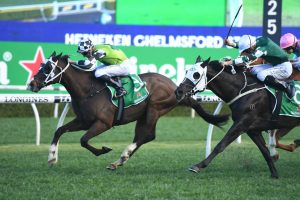 Mister Sea Wolf Horse Form (Photo: Steve Hart) | Races.com.au